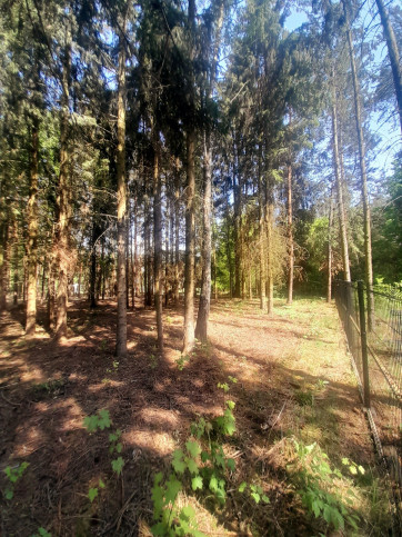 Działka Sprzedaż Czarnów 4