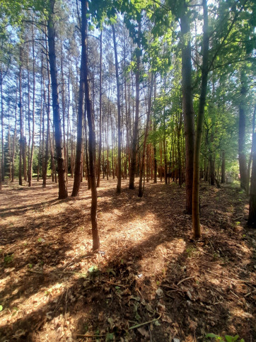 Działka Sprzedaż Czarnów 3